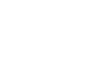 OPEL_W